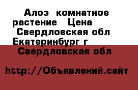Алоэ, комнатное растение › Цена ­ 150 - Свердловская обл., Екатеринбург г.  »    . Свердловская обл.